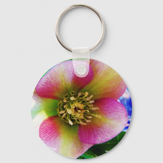 Pink Lenten Rose, Schlüsselanhänger (Vorderseite)