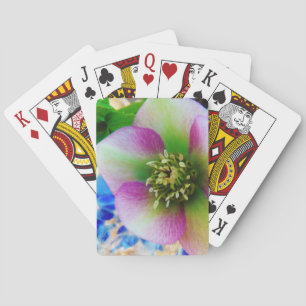 Pink Lenten Rose Spielkarten