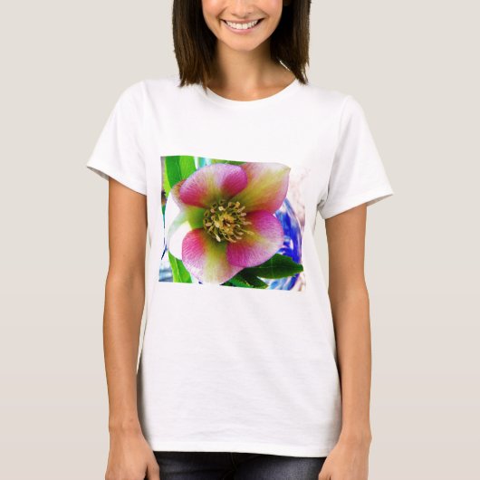 Pink Lenten Rose, T-Shirt (Vorderseite)