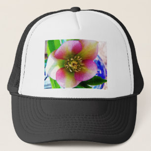 Pink Lenten Rose, Truckerkappe