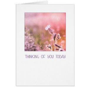 Pink Light Campion Wildblume Denken Sie an Sie