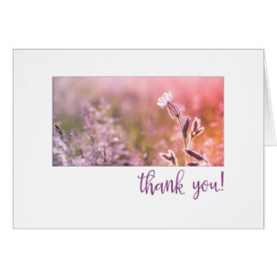 Pink Light Campion Wildblume Vielen Dank