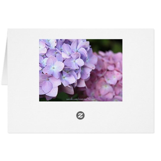 ©Pink & Light Lila Hydrangeas Blank (Rückseite Horizontal)