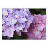 ©Pink & Light Lila Hydrangeas Blank (Vorderseite (Horizontal))
