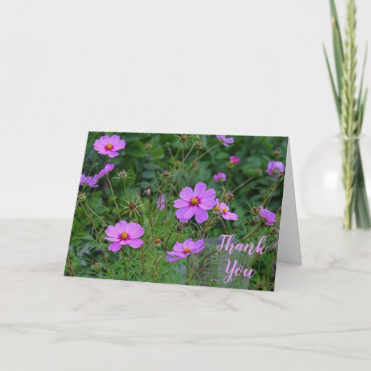 Pink Lila Cosmos Blume Danke Nachricht (Vorderseite)