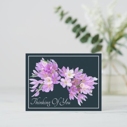 Pink/Lila Crocus Grauer Hintergrund Postkarte (Stehend Vorderseite)