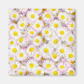 Pink Lila Daisy Blume Pattern Magnet (Vorne)