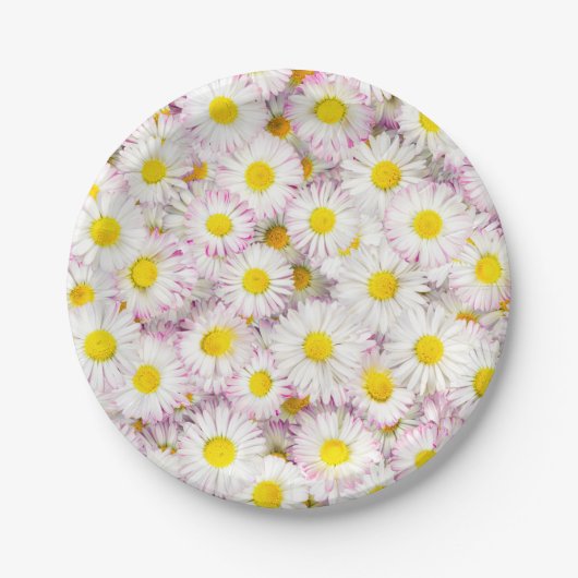 Pink Lila Daisy Blume Pattern Pappteller (Vorderseite)