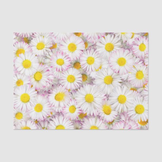 Pink Lila Daisy Blume Pattern Seidenpapier (Vorderseite)