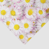 Pink Lila Daisy Blume Pattern Seidenpapier (Ausschnitt)