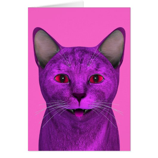 Pink Lila Kitty Face (Vorne)