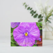 Pink Lila Pansy Blume Postkarte (Stehend Vorderseite)