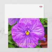 Pink Lila Pansy Blume Postkarte (Vorne/Hinten)