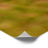 Pink lila Phlox Blume Poster oder Print (Ecke)