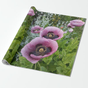 Pink Lila Poppies florale Blume Packpapier