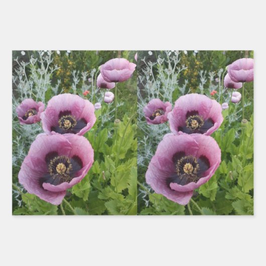 Pink Lila Poppies Mauve Lila Blume Geschenk Geschenkpapier Set (Vorderseite)