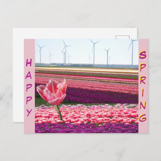 Pink Lila Tulips Field Happy Spring Postcard Postkarte (Vorne/Hinten)
