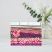 Pink Lila Tulips Field & Pink Tulip DIY Postkarte (Stehend Vorderseite)