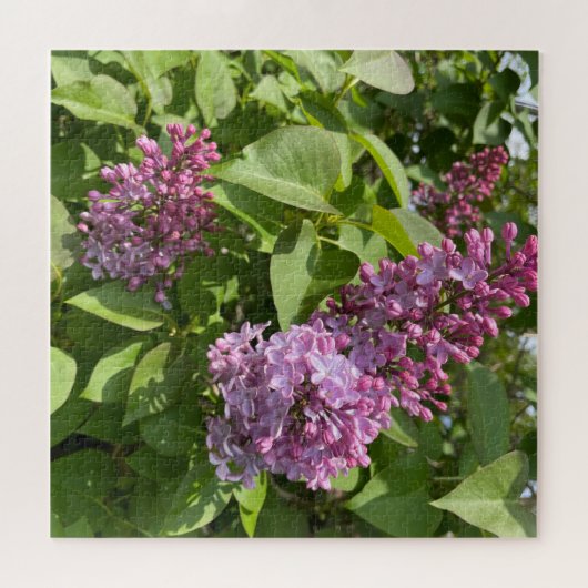 Pink Lilac Blossom Puzzle (Horizontal)