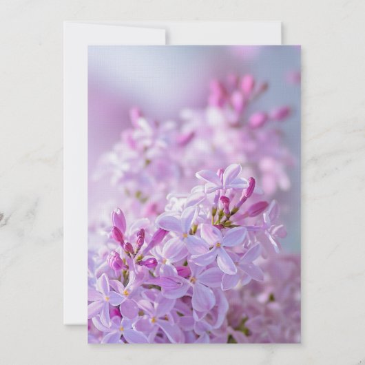 Pink Lilacs individuelle Einladung zur Hochzeit (Rückseite)