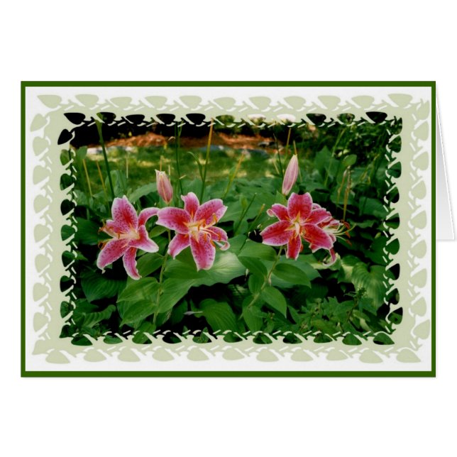 Pink Lilies (Vorderseite (Horizontal))