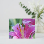 Pink Lilies Postcard Postkarte (Stehend Vorderseite)