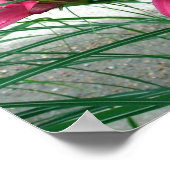 Pink Lilies Poster (Ecke)