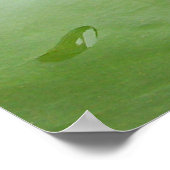 Pink Lilly in Pond Poster (Ecke)