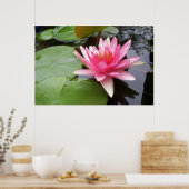 Pink Lilly in Pond Poster (Küche)