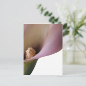 Pink Lilly Postcard Postkarte (Stehend Vorderseite)