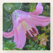 Pink Lily Bloom Floral Glasuntersetzer (Vorderseite)