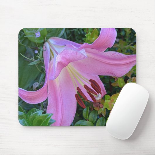 Pink Lily Bloom Floral Mousepad (Mit Mouse)