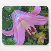 Pink Lily Bloom Floral Mousepad (Vorne)