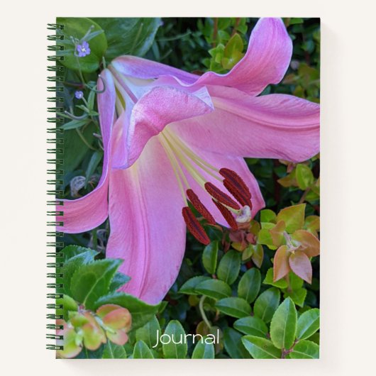 Pink Lily Bloom Floral Notizblock (Vorderseite)