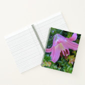 Pink Lily Bloom Floral Notizblock (Innenseite)