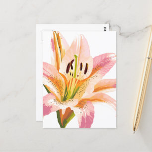 Pink Lily Blume   Aquarellfarbene Blütenmalerei Postkarte
