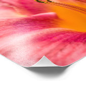Pink Lily Blume Fotodruck (Ecke)