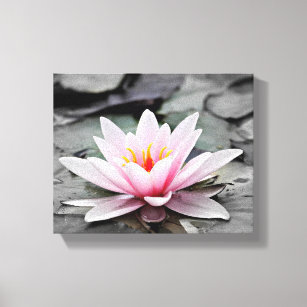 Pink Lily Blume mit schwarzem Hintergrund Leinwanddruck