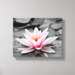 Pink Lily Blume mit schwarzem Hintergrund Leinwanddruck<br><div class="desc">Pink Lily Blume mit schwarzem Hintergrund.</div>