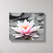 Pink Lily Blume mit schwarzem Hintergrund Leinwanddruck (Vorderseite)