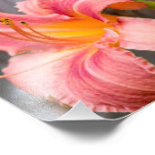 Pink Lily Blume Nah Fotodruck (Ecke)