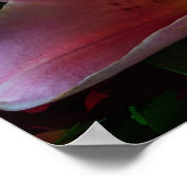 PINK LILY BLUME POSTER (Ecke)