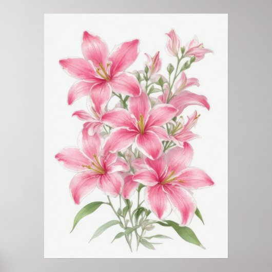 Pink Lily Blume Poster (Vorne)