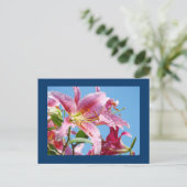 Pink Lily Blume Postkarten Blue Sky Botanic (Stehend Vorderseite)