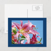 Pink Lily Blume Postkarten Blue Sky Botanic (Vorne/Hinten)