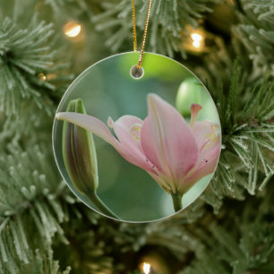Pink Lily-Bokeh von Shirley Taylor Keramikornament