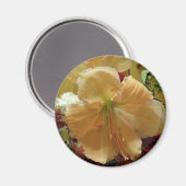 Pink Lily Bouquet Magnet (Vorderseite/Rückseite)