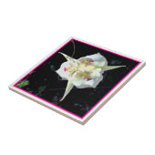 Pink Lily Fairy Tile Fliese (Seite)
