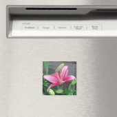 Pink Lily Magnet (In Situ (Geschirrspüler))