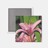 Pink Lily Magnet (Vorderseite/Rückseite)